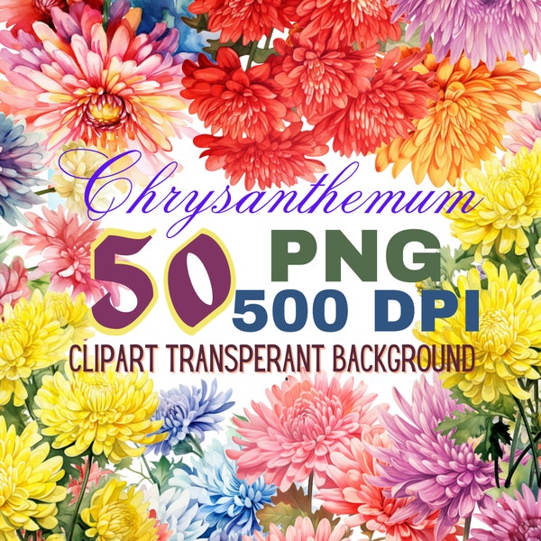 Instant Download Chrysanthemum Clipart: Ideal for Digital Projects,Craft Inspiration,Invitations Decor| High-Quality,Vibrant Floral Graphics