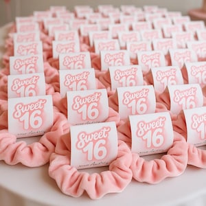 May include: Pink scrunchies with "Sweet 16" cards, perfect for a birthday celebration. The cards have a pink script font and the text "xoxo Audrey". The background includes pink balloons and a banner with "Sweet 16".