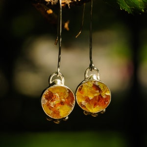 Sterling Silver Vintage Baltic Amber Earrings