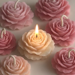 K&ouml;nnte beinhalten: Eine Ansammlung von sechs rosenf&ouml;rmigen Kerzen, die zusammen angeordnet sind. F&uuml;nf Kerzen sind unbeleuchtet und zeigen verschiedene Schattierungen von zartem Rosa, w&auml;hrend eine mittlere Kerze mit einer hellgelben Flamme brennt und ihre cremefarbenen Bl&uuml;tenbl&auml;tter beleuchtet.