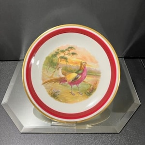Schwarzenhammer Germany Hand Painted Golden Pheasant Plate