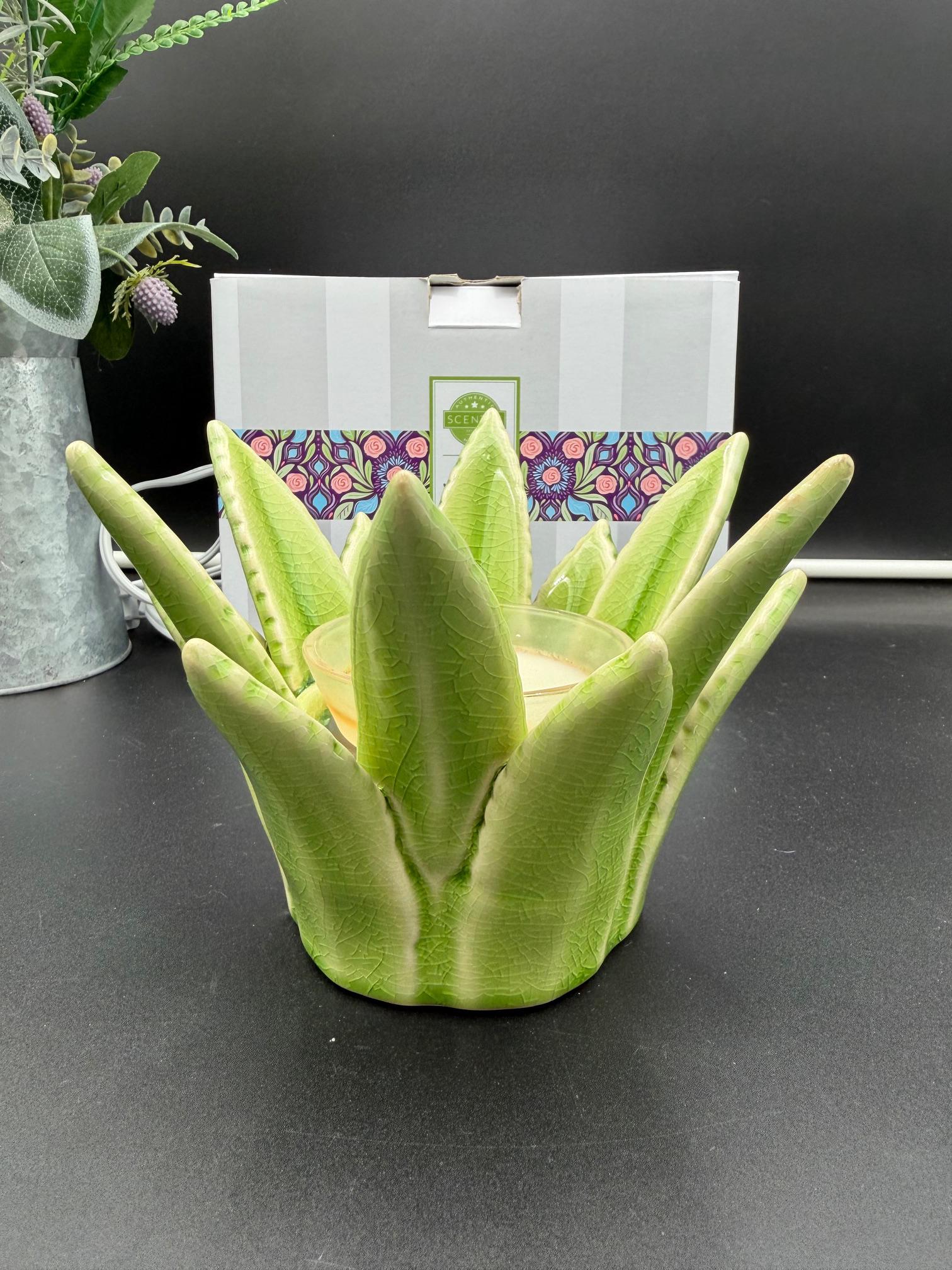 how to use aloe vera plant on face Aloe Vera Gel for Face main image 0
