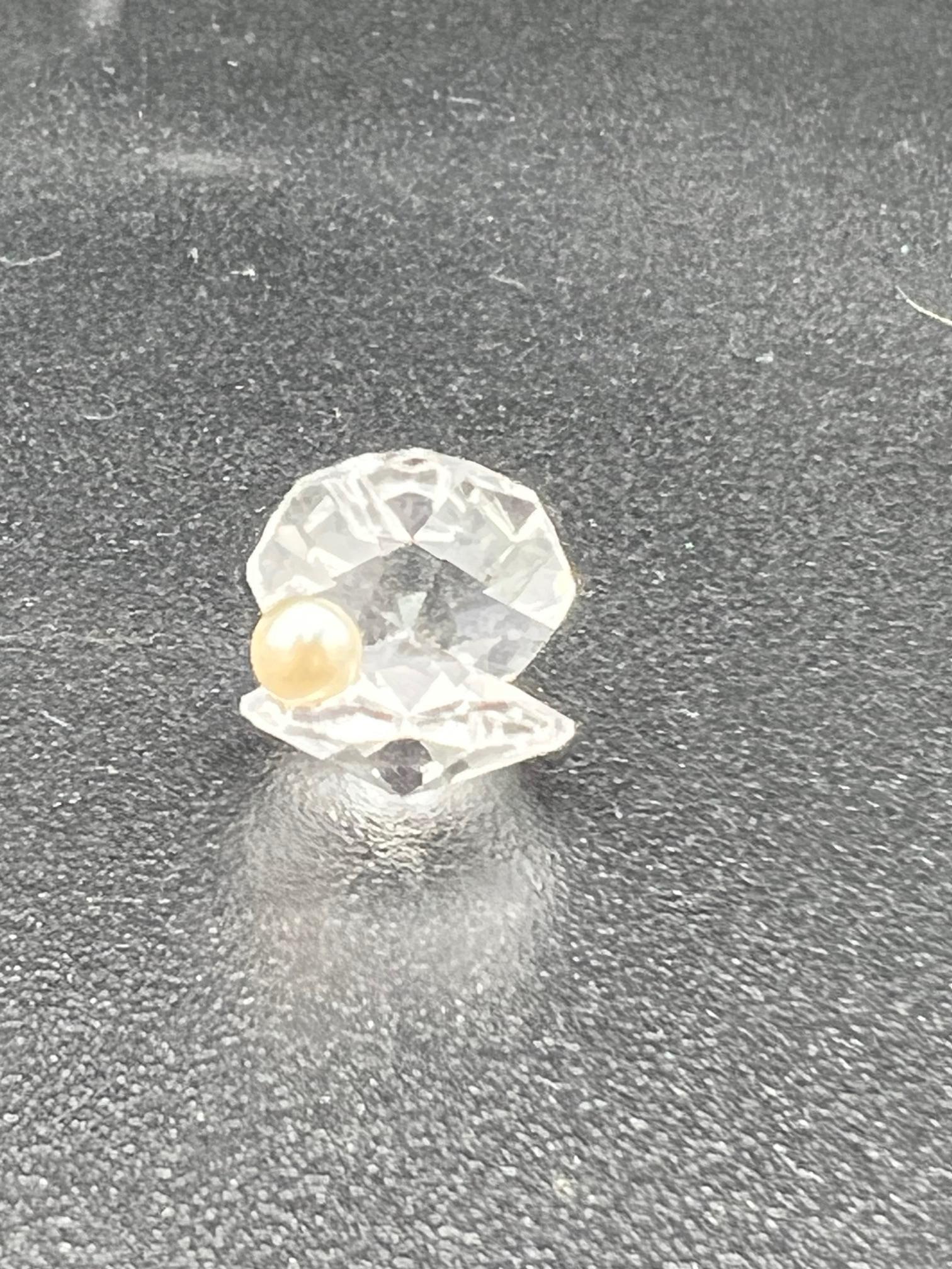 SWAROVSKI シェル 貝殻 置物 Swarovski Crystal Clam and Mini Clam Figurines - Etsy