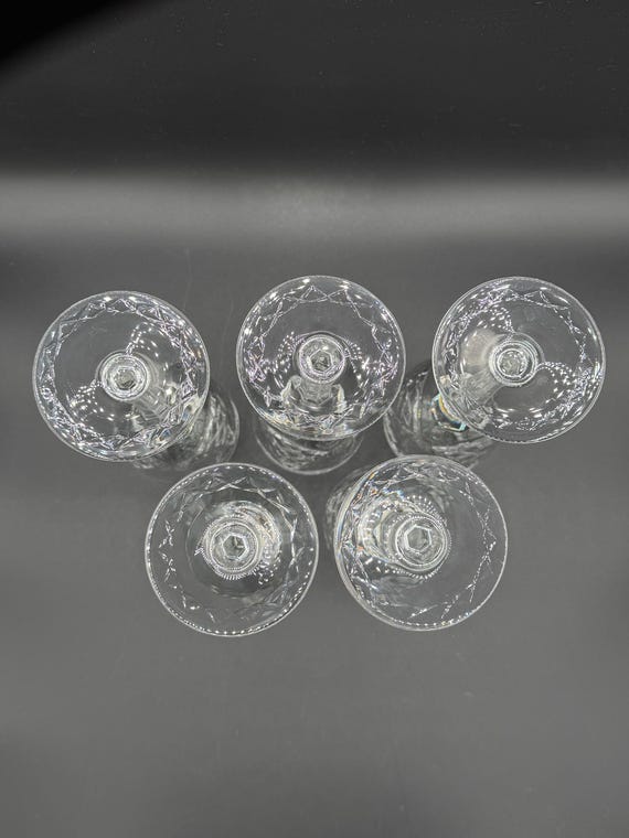 Rogaska Jasmine Crystal Water Goblets - Etsy