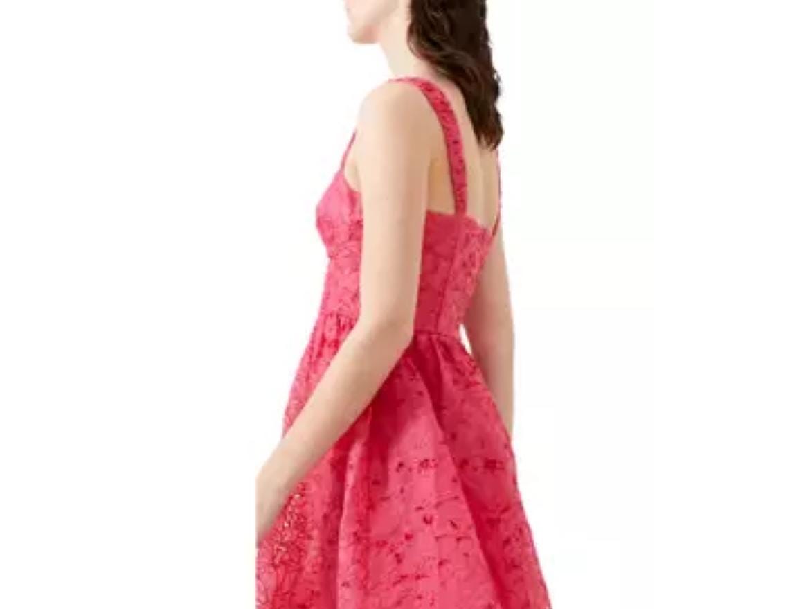 French Connection Women's Embroidered Lace Sleeveless Dress in Azalea Size  8 NWT - Etsy