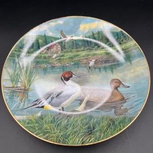 May include: Decorative plate featuring a serene lakeside scene with ducks and a small house in the background. The plate has a gold rim and a detailed painting of ducks in a natural setting. The plate is round.