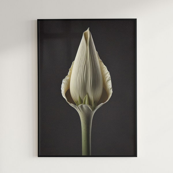 Corpse Flower (Amorphophallus Titanum) [Instant Download Floral Print, Digital Art for Home Decor, Large JPG Files]