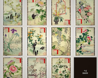 Beautiful Japanese Birds and Flowers