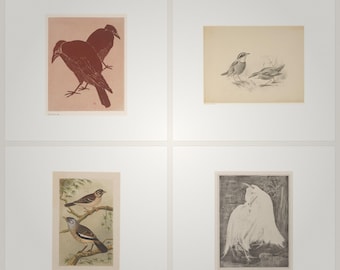 Two Birds (4x)