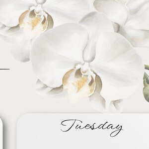 May include: A white orchid with green buds, with the word "Tuesday" written in black cursive on a white background.