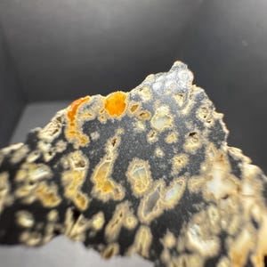 May include: A close-up of a polished stone with a dark gray base and a pattern of beige and white spots. There are also patches of orange and yellow. The stone has an irregular shape and a smooth, reflective surface.