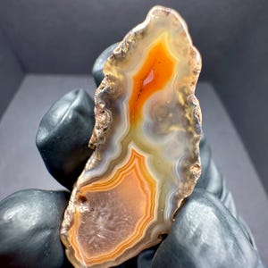 Puede incluir: Una rebanada de ágata con un patrón de bandas marrones, naranjas y blancas. La ágata tiene un borde natural y rugoso.