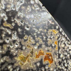 May include: Close-up of a triangular-shaped stone with a unique pattern. The stone features a dark gray base with white and tan spots, and areas of orange and yellow. The surface has a textured appearance with small holes.