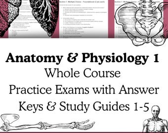 Anatomy & Physiology 1 Practice Exam Pack