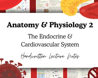 Endocrine and Blood System Handwritten Notes | Anatomy & Physiology 2