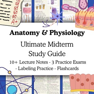May include: Anatomy & Physiology study guide with detailed diagrams and notes. Includes lecture notes, practice exams, and flashcards. The guide features illustrations of the skeletal system, bone growth, and other anatomical structures. The title is in bold black font.