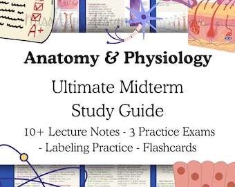 Anatomy & Physiology 1 Ultimate Midterm Study Guide