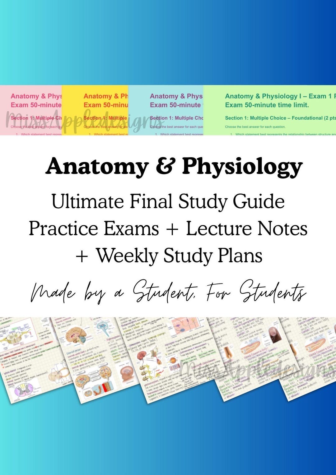 Anatomy & Physiology 1 Ultimate Final Exam Study Guide - Etsy