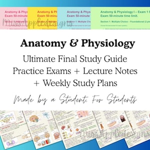 May include: Anatomy and Physiology study guide with practice exams, lecture notes, and weekly study plans. The image features colorful exam sheets and the text "Made by a Student. For Students."
