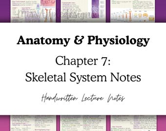 Anatomy & Physiology 1 Skeletal System - Handwritten Lecture Notes