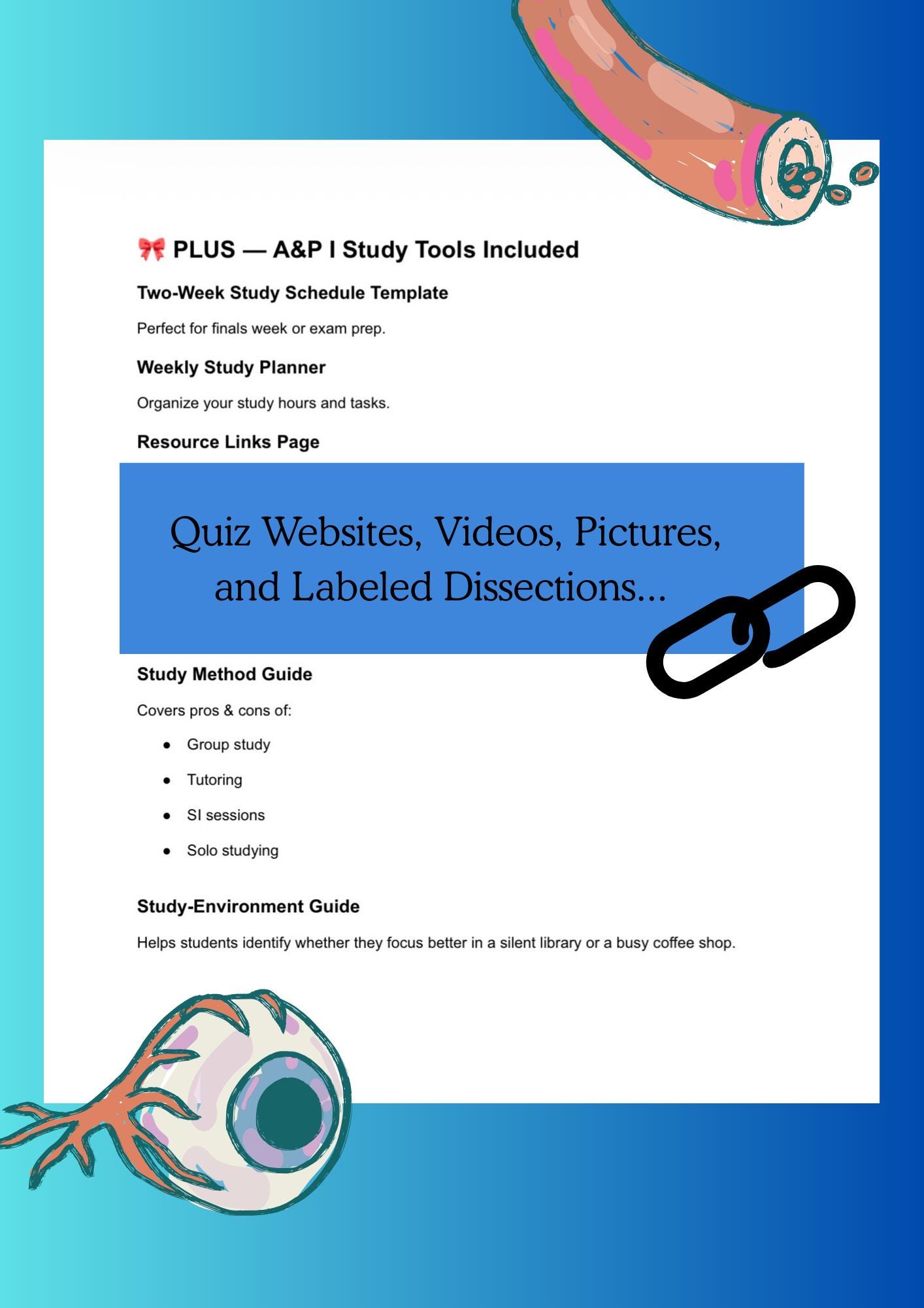 Anatomy & Physiology 1 Ultimate Final Exam Study Guide - Etsy