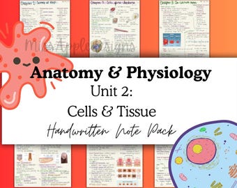 Anatomy & Physiology 1 Unit 2 - Handwritten Lecture Notes