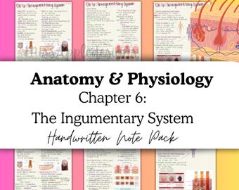 Anatomy & Physiology 1 Unit 3 - Handwritten Lecture Notes