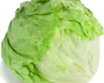 Puede incluir: Una cabeza entera de lechuga iceberg verde con hojas apretadas.
