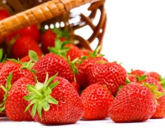 Alpine Strawberry Plant Seeds - Fragaria Vesca - Fruit Seeds - Red Berries - Grow Strawberry Plants From Seeds - Vegetable Seeds Canada