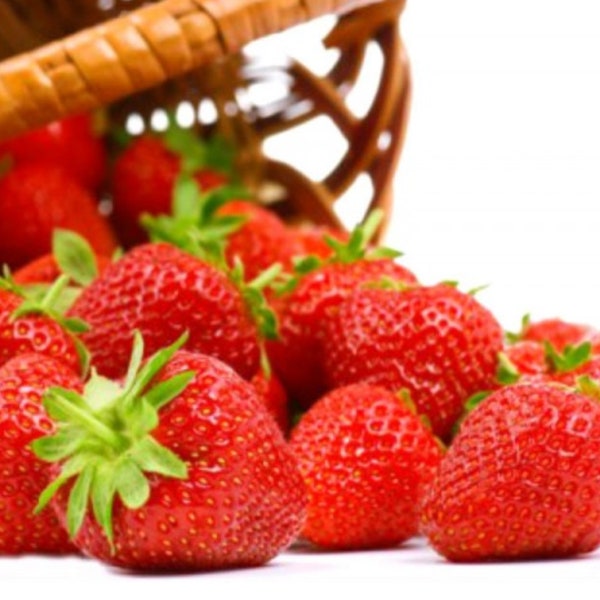 Alpine Strawberry Plant Seeds - Fragaria Vesca - Fruit Seeds - Red Berries - Grow Strawberry Plants From Seeds - Vegetable Seeds Canada