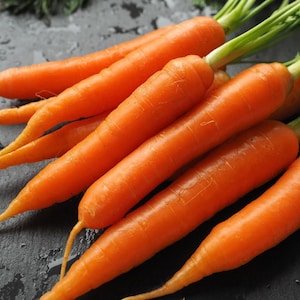 Danvers Carrot Seeds - Grow Fresh Home Grown Carrots - Open Pollinated Non-GMO - Garden Vegetable Seeds Canada