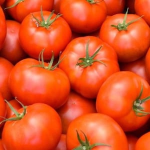 Beefsteak Tomato Seeds - Open-Pollinated - Non-Hybrid & Non-GMO - Grow Tomato Plants Indeterminate Tomatoes - Garden Vegetable Seeds Canada