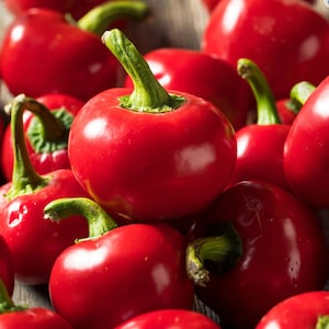 Red Cherry Hots Hot Pepper Seeds - Heirloom - Open-Pollinated - Non GMO - Red Hot Pepper Plant Seeds - Garden Vegetable Seeds Canada
