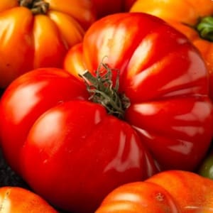Red Brandywine Tomato Seeds - Open-Pollinated - Non-GMO - Grow Tomato Plants - Indeterminate Tomatoes - Garden Vegetable Seeds Canada
