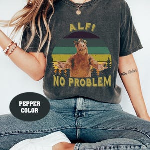 キッズ古着 vintage ALF NO PROBLEM Tシャツ 1987年製 Alf 1987 Alien Production 
