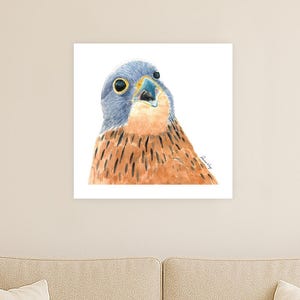 Kestrel in Wonder – Limited Edition (7 only) – Bird Fine Art Prints – 17″ × 16.6″– Watercolour Painting – Hahnemühle German Etching