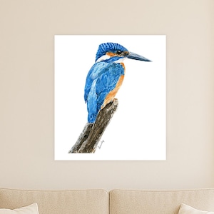 Kingfisher in Quiet Focus – Limited Edition (7 only) – Wildlife Fine Art Prints – 24&quot;×26.9&quot; – Bird Watercolour – Hahnemühle German Etching