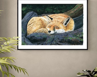 Sleeping Fox Print – Limited Edition Watercolour Wildlife Art – Hahnemühle German Etching (16.5″ × 11.7″)