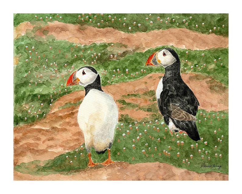 Two Puffins