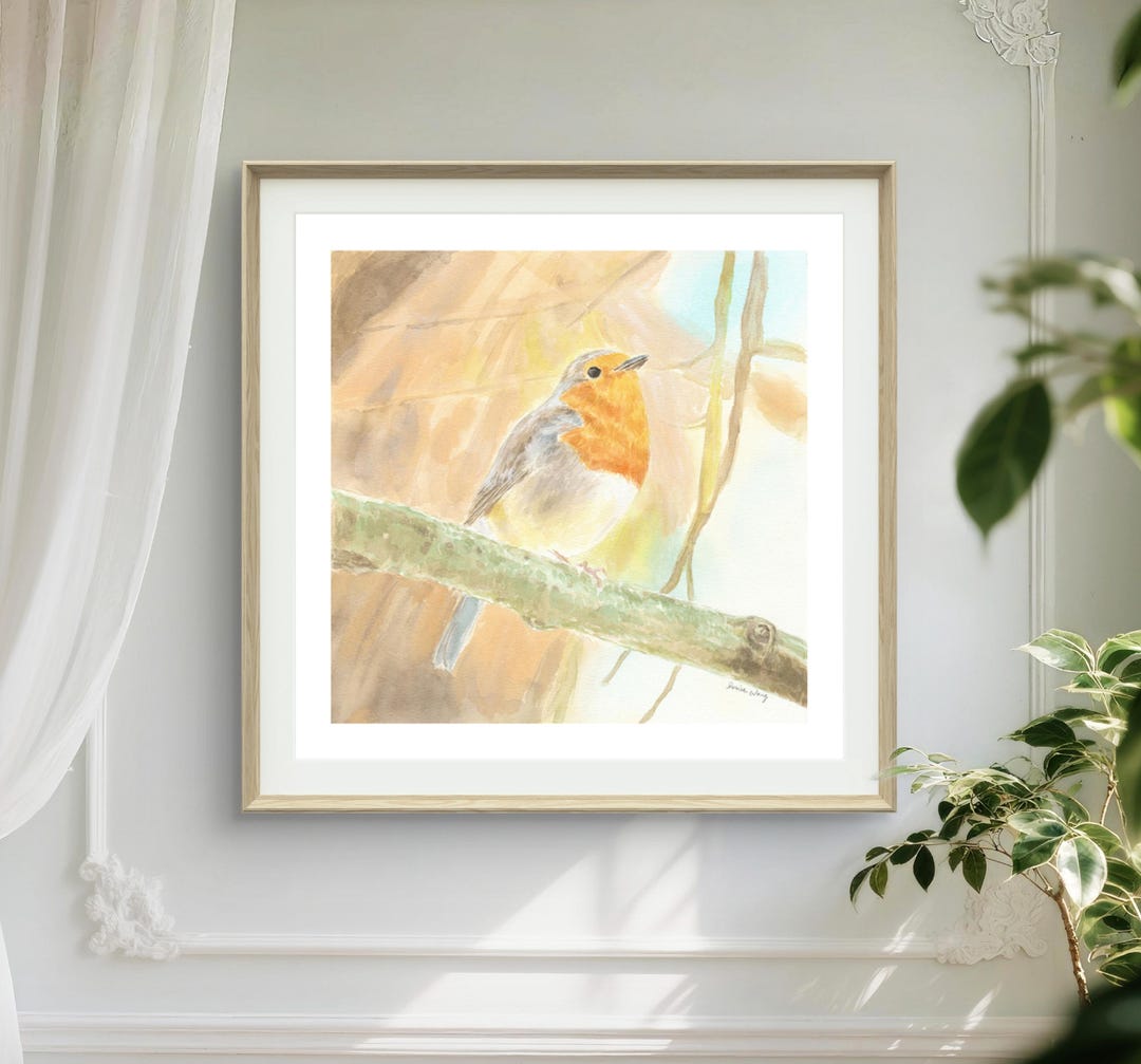 European Robin