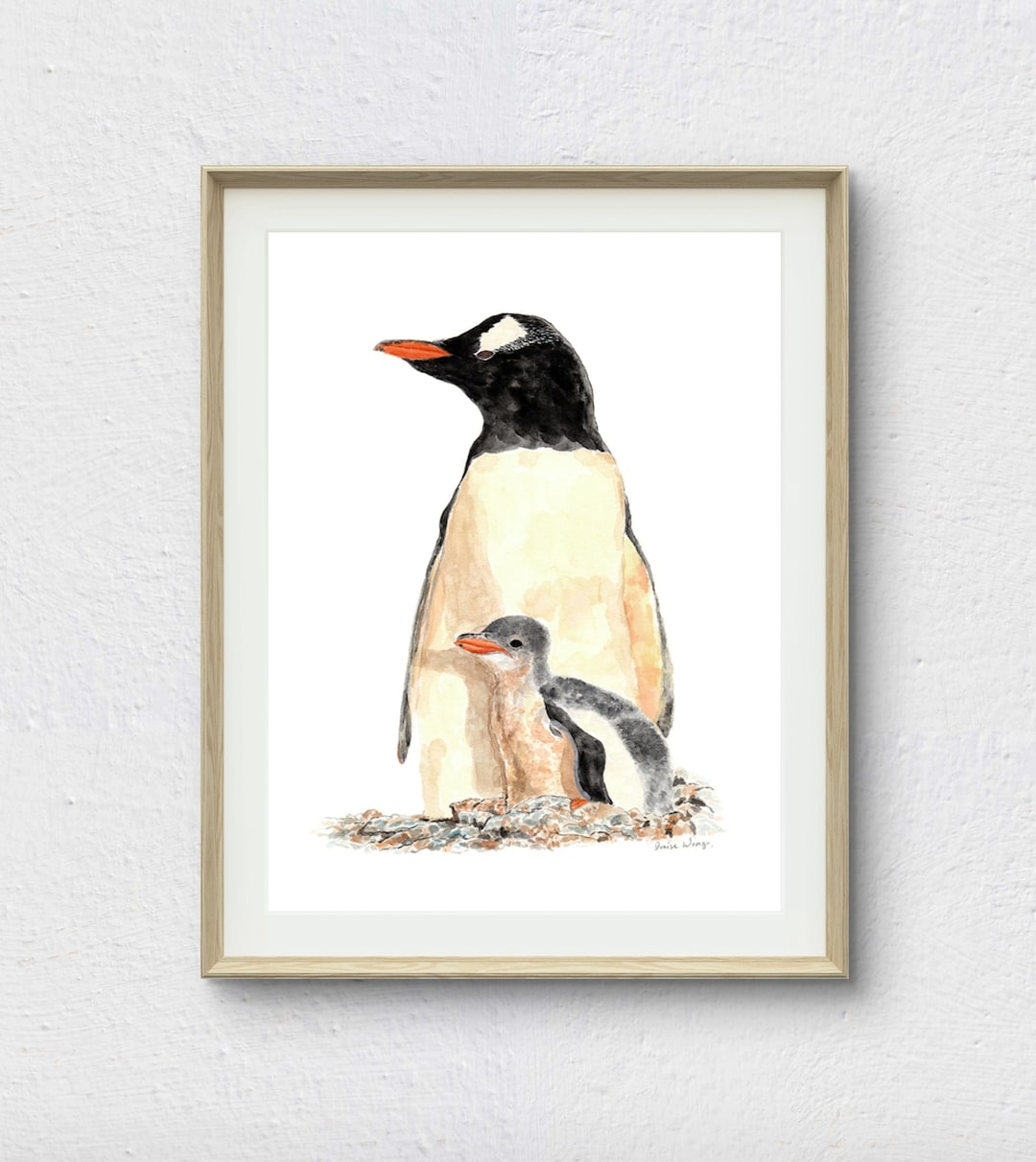 Gentoo Penguin With Chick