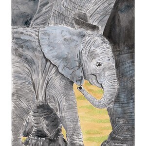 Vitello di elefante – Edizione limitata di 7 stampe artistiche di animali selvatici – Acquerello – Stampato su carta Hahnemühle German Etching (310 g/m²)