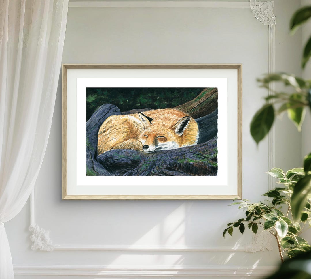 Sleeping Fox