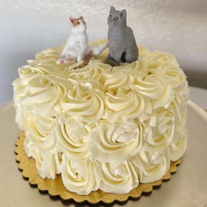 Personalized Custom Cat Wedding Cake Decorations, Pet Cake Decorations, Pet Birthdays, Dog Figurines, Cat Cake Decorations,Pet Anniversaries