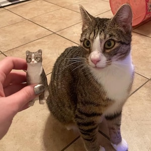 personalized custom cat wedding cake topper ,cat Figurines，cats birthday，Pet CakeTopper，Pets Birthday，cat caketopper , Anniversary pet