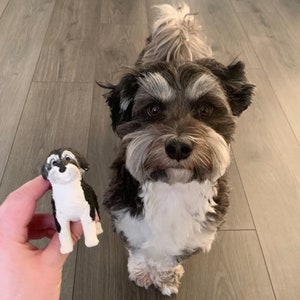 Personalized custom pets dog, pets birthday, pets topper, caketopper, Pet partypet clay sculpture, wedding caketopper