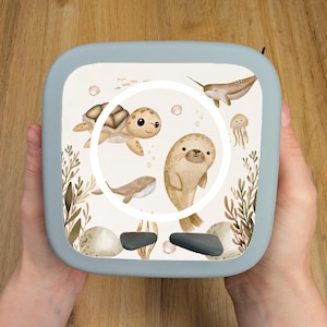 Könnte beinhalten: Eine hellblaue Brotdose mit einer Unterwasserillustration einer Schildkröte, eines Seehunds, eines Wals, einer Qualle und eines Narwals. Das Design umfasst Seetang, Felsen und Muscheln. Die Brotdose wird von Händen gehalten.