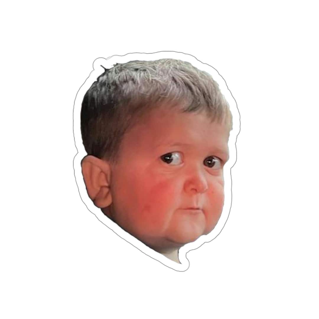 Hasbulla side eye vinyl sticker decal etsy