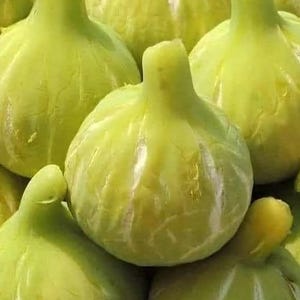 May include: A close-up of a group of green figs. The figs are arranged in a cluster, with some overlapping. The figs have a smooth, slightly bumpy texture and a light green colour.