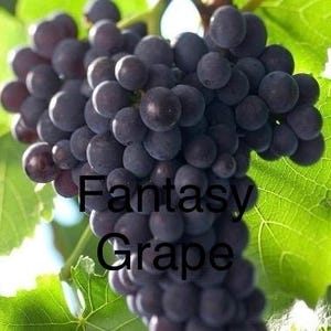 Könnte beinhalten: Nahaufnahme einer Traube dunkler lila Trauben mit dem Text "Fantasy Grape" in Schwarz. Die Trauben sind von grünen Blättern und Ranken umgeben, mit hellem Hintergrund.